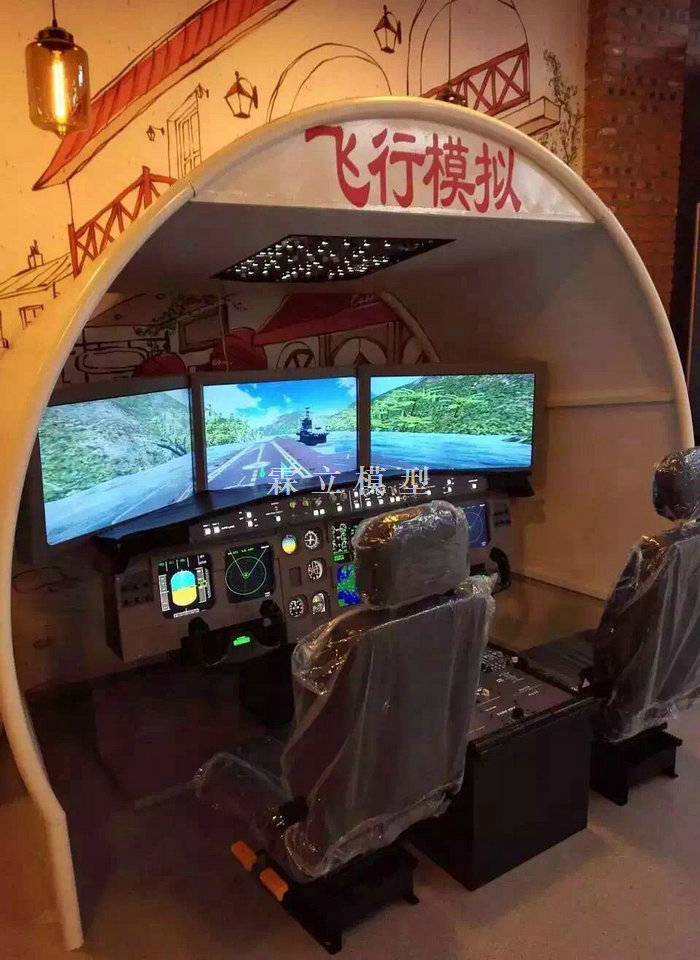 飞行模拟驾驶